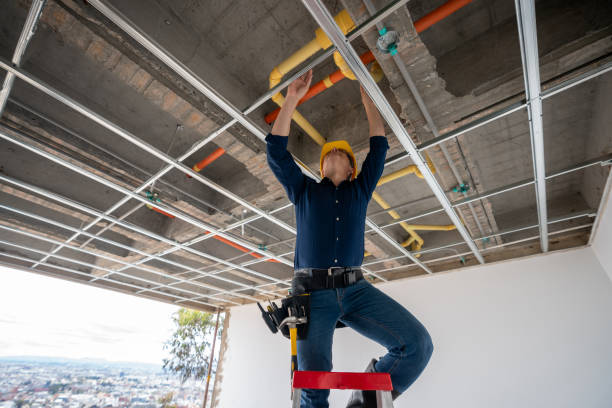 Best Plumbing Repair Near Me  in Agua Dulce, TX