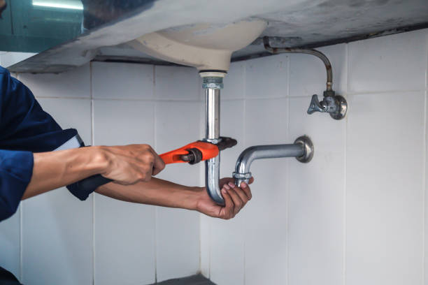 Best Shower Repair Services  in Agua Dulce, TX